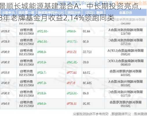 景顺长城能源基建混合A：中长期投资亮点，13年老牌基金月收益2.14%领跑同类-第2张图片-