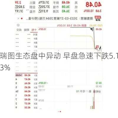 瑞图生态盘中异动 早盘急速下跌5.13%-第1张图片-