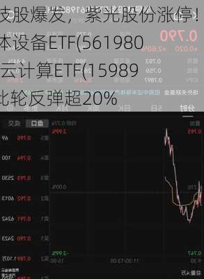 科技股爆发，紫光股份涨停！半导体设备ETF(561980)、云计算ETF(159890)此轮反弹超20%