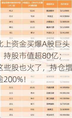 北上资金买爆A股巨头！持股市值超80亿；这些股也火了，持仓增逾200%！-第2张图片-