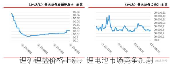 锂矿锂盐价格上涨，锂电池市场竞争加剧-第2张图片-