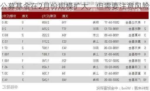 公募基金在2月份规模扩大，但需要注意风险-第1张图片-