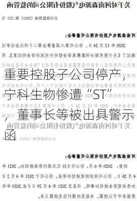 重要控股子公司停产，宁科生物惨遭“ST”，董事长等被出具警示函-第3张图片-