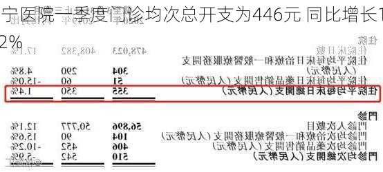 康宁医院一季度门诊均次总开支为446元 同比增长11.2%-第1张图片-