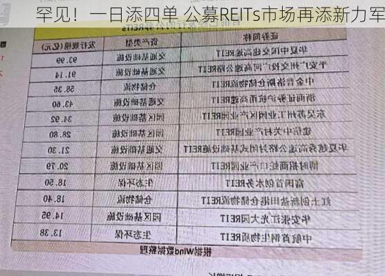 罕见！一日添四单 公募REITs市场再添新力军-第2张图片-