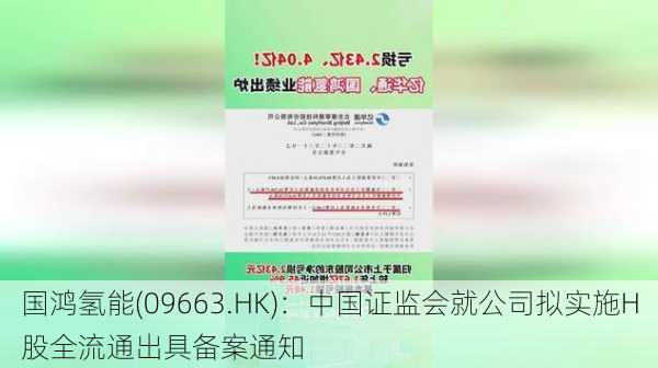 国鸿氢能(09663.HK)：中国证监会就公司拟实施H股全流通出具备案通知-第1张图片-