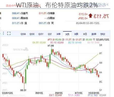 WTI原油、布伦特原油均跌2%-第1张图片-