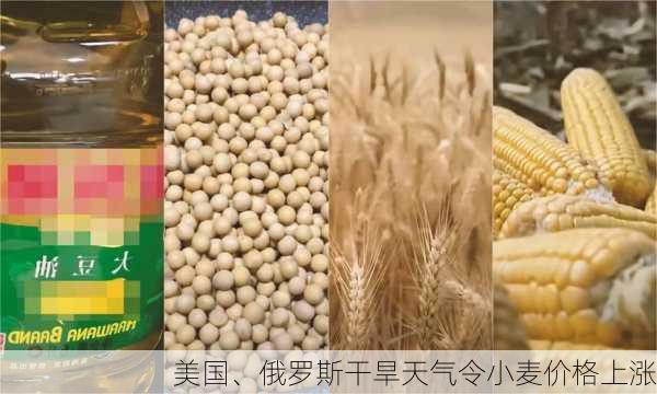 美国、俄罗斯干旱天气令小麦价格上涨-第3张图片-