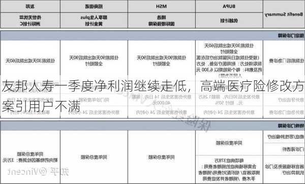 友邦人寿一季度净利润继续走低，高端医疗险修改方案引用户不满-第3张图片-