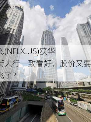 奈飞(NFLX.US)获华尔街大行一致看好，股价又要起飞了？-第3张图片-