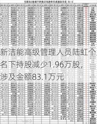 新洁能高级管理人员陆虹个人名下持股减少1.96万股，涉及金额83.1万元-第1张图片-