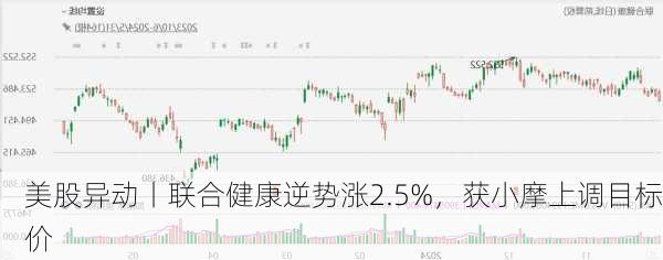 美股异动丨联合健康逆势涨2.5%，获小摩上调目标价-第1张图片-