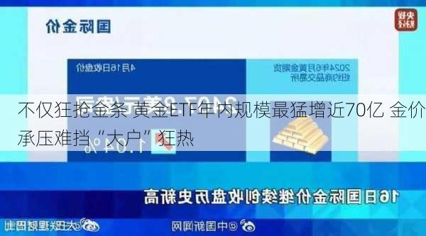 不仅狂抢金条 黄金ETF年内规模最猛增近70亿 金价承压难挡“大户”狂热-第1张图片-