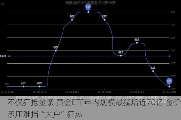 不仅狂抢金条 黄金ETF年内规模最猛增近70亿 金价承压难挡“大户”狂热-第2张图片-