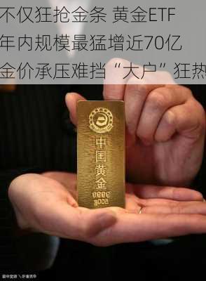 不仅狂抢金条 黄金ETF年内规模最猛增近70亿 金价承压难挡“大户”狂热-第3张图片-