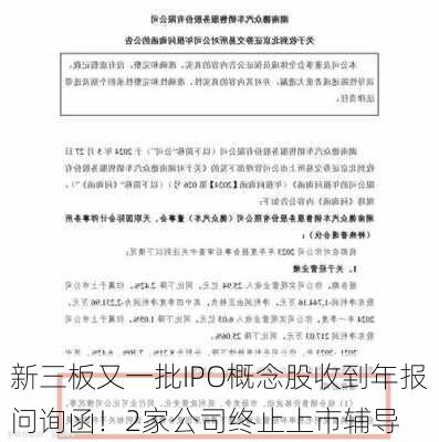 新三板又一批IPO概念股收到年报问询函！2家公司终止上市辅导-第3张图片-