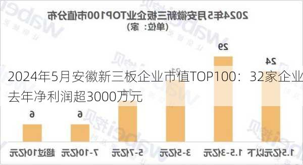 2024年5月安徽新三板企业市值TOP100：32家企业去年净利润超3000万元-第3张图片-