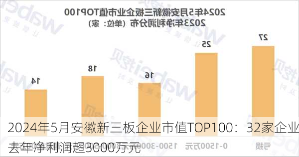 2024年5月安徽新三板企业市值TOP100：32家企业去年净利润超3000万元-第1张图片-