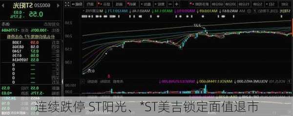 连续跌停 ST阳光、*ST美吉锁定面值退市-第2张图片-