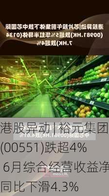 港股异动 | 裕元集团(00551)跌超4% 6月综合经营收益净额同比下滑4.3%-第1张图片-