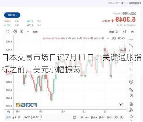 日本交易市场日评7月11日：关键通胀指标之前，美元小幅振荡-第1张图片-