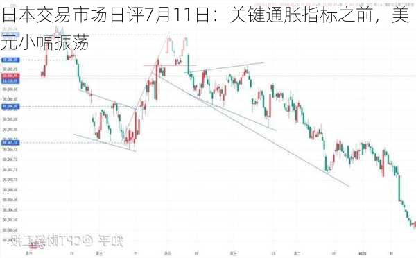 日本交易市场日评7月11日：关键通胀指标之前，美元小幅振荡-第2张图片-