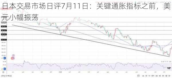 日本交易市场日评7月11日：关键通胀指标之前，美元小幅振荡-第3张图片-