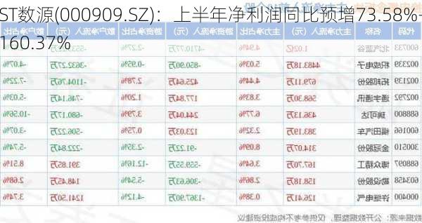 ST数源(000909.SZ)：上半年净利润同比预增73.58%-160.37%-第1张图片-