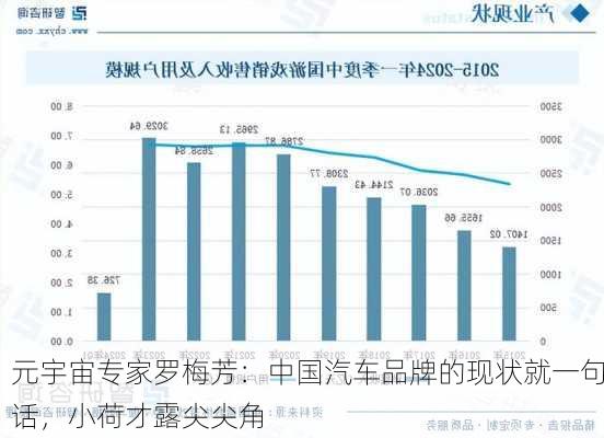 元宇宙专家罗梅芳：中国汽车品牌的现状就一句话，小荷才露尖尖角-第2张图片-