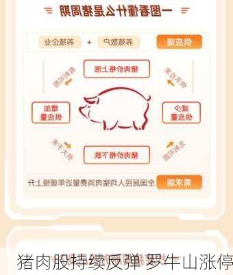 猪肉股持续反弹 罗牛山涨停-第1张图片-