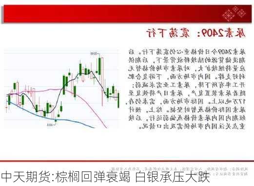 中天期货:棕榈回弹衰竭 白银承压大跌-第2张图片-