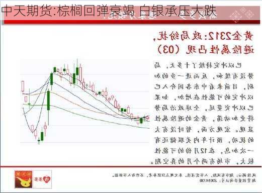 中天期货:棕榈回弹衰竭 白银承压大跌-第1张图片-