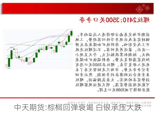 中天期货:棕榈回弹衰竭 白银承压大跌-第3张图片-