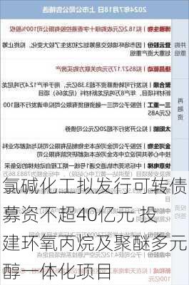 氯碱化工拟发行可转债募资不超40亿元 投建环氧丙烷及聚醚多元醇一体化项目-第3张图片-