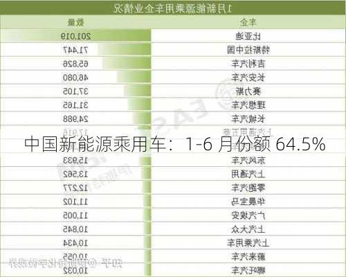 中国新能源乘用车：1-6 月份额 64.5%-第2张图片-