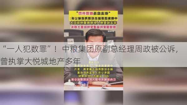 “一人犯数罪”！中粮集团原副总经理周政被公诉，曾执掌大悦城地产多年-第2张图片-