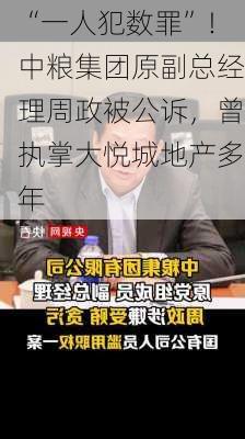 “一人犯数罪”！中粮集团原副总经理周政被公诉，曾执掌大悦城地产多年-第3张图片-