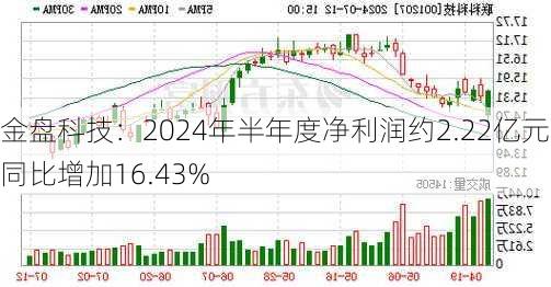 金盘科技：2024年半年度净利润约2.22亿元 同比增加16.43%-第2张图片-