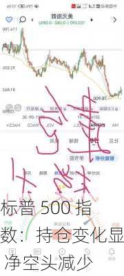 标普 500 指数：持仓变化显著 净空头减少-第1张图片-