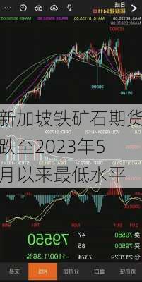 新加坡铁矿石期货跌至2023年5月以来最低水平-第1张图片-