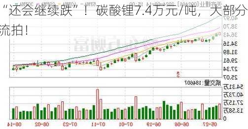 “还会继续跌”！碳酸锂7.4万元/吨，大部分流拍！-第1张图片-