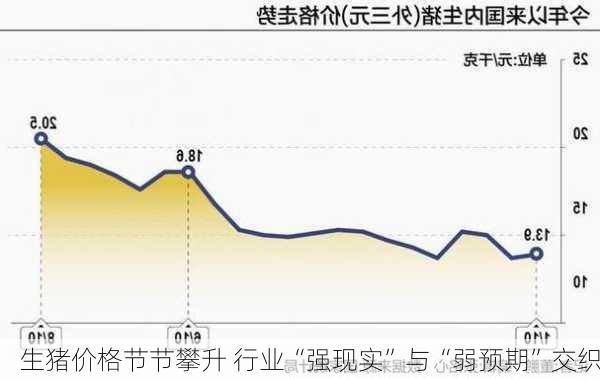 生猪价格节节攀升 行业“强现实”与“弱预期”交织-第2张图片-