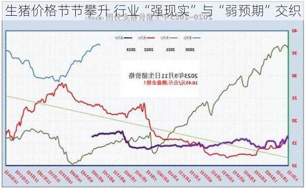 生猪价格节节攀升 行业“强现实”与“弱预期”交织-第3张图片-