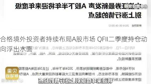 合格境外投资者持续布局A股市场 QFII二季度持仓动向浮出水面-第2张图片-