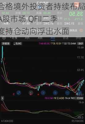 合格境外投资者持续布局A股市场 QFII二季度持仓动向浮出水面-第1张图片-