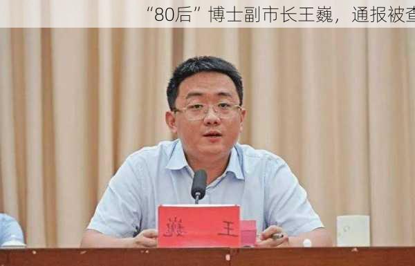 “80后”博士副市长王巍，通报被查-第3张图片-