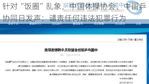 针对“饭圈”乱象，中国体操协会、中国乒协同日发声：谴责任何违法犯罪行为-第3张图片-