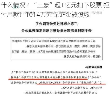 什么情况？“土豪”超1亿元拍下股票 拒付尾款！1014万元保证金被没收-第2张图片-