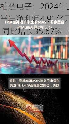 柏楚电子：2024年上半年净利润4.91亿元 同比增长35.67%-第2张图片-