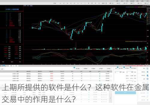 上期所提供的软件是什么？这种软件在金属交易中的作用是什么？-第2张图片-